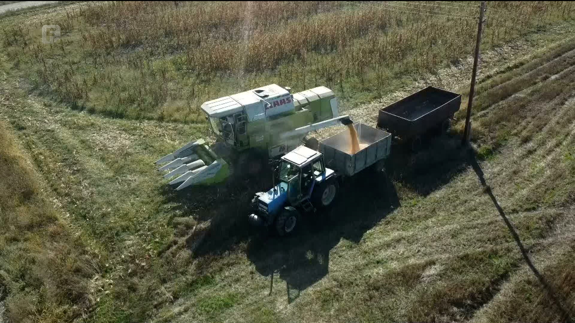 Niska otkupna cijena ljetine, visoka repromaterijala - ratari dižu ruke